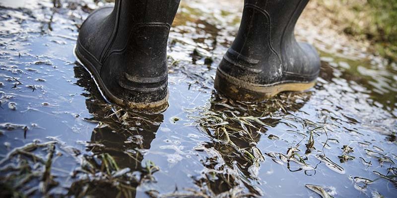 Accident Injury Compensation Lawyers Accident Injury Compensation Lawyers